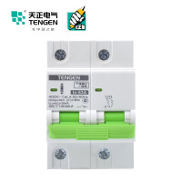 天正电气 TGBH-125 空气开关 6KA 2P C 100A 335013800243 微型断路器
