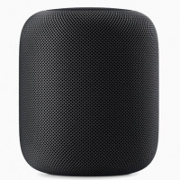 Apple HomePod - 黑色 智能音箱 MQHW2CH/A