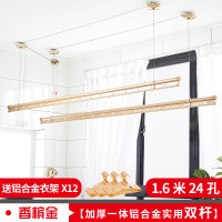 盼盼升降晾衣架阳台晾衣杆 室内家用手摇双杆式凉衣架晒衣架 三杆升降晾衣架 双杆香槟金1.6米 大