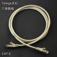 天纪(TELEGE) 六类网线3米YC