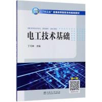 电工技术基础/丁巧林/十三五普通高等教育本科规划教材