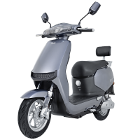 雅迪新款 E2 高能版石墨烯60V20AH电动车电动摩托车 60V20AH石墨烯电池（前后碟刹） 都市灰