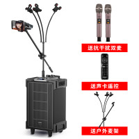 爱浪DX20-10户外广场舞拉杆音响音箱带声卡k歌家用蓝牙抖音快手直播