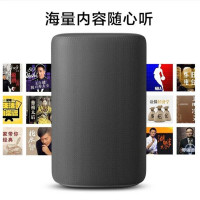 小米（MI） 小爱音箱HD版 小爱AI同学智能人工语音遥控无线wifi 深灰色