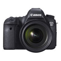 佳能(Canon) EOS 5D4（24-70mm F2.8）数码单反相机 单镜头套装 约3040万像素