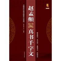 赵孟頫真书千字文/中国历代名碑名帖放大本系列