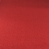 塑料地毯毯入户地垫店脚垫垫进蹭土丝圈家用pvc加厚_7 60*100 红色