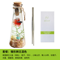 斗鱼生态瓶封闭小鱼瓶免换水瓶装观赏鱼玻璃桌面透明微景观鱼小型_1 默认尺寸 锥形：狮王