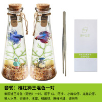 斗鱼生态瓶封闭小鱼瓶免换水瓶装观赏鱼玻璃桌面透明微景观鱼小型_1 默认尺寸 【一对】锥形：狮王