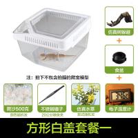 小号饲养箱塑料透明蝎子守宫蜥蜴养殖箱陆龟昆虫鸣虫饲养盒_1_223 默认尺寸 方形白盖套餐一