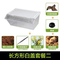 小号饲养箱塑料透明蝎子守宫蜥蜴养殖箱陆龟昆虫鸣虫饲养盒_1_223 默认尺寸 长方形白盖套餐二