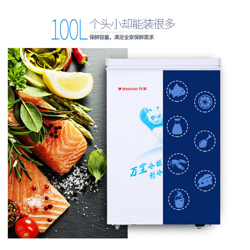 万宝(wanbao)bc/bd-100d 100升家用卧式冷柜 小冰柜 冷藏冷冻转换 顶