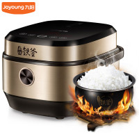 九阳IH电磁电饭煲 F-40T801和九阳(Joyoung) 豆
