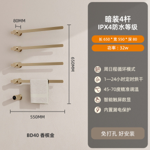 SIOYIE芯毅 嵌入式电热毛巾架家用浴室智能毛巾架快速升温高效抗菌加热烘干毛巾嵌入式安装BD40暗装(自行安装)圆管