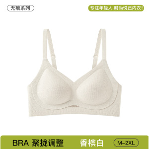 无痕内衣女薄款大胸显小胸聚拢防下垂收副乳2025年春无钢圈文胸罩