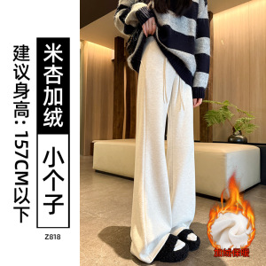 加绒微喇卫裤女秋冬新款黑色羊毛马蹄裤子毛呢休闲显瘦喇叭裤