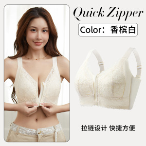 夏季超薄款大胸显小胸内衣女士拉链全罩杯调整型收副乳聚拢文胸罩