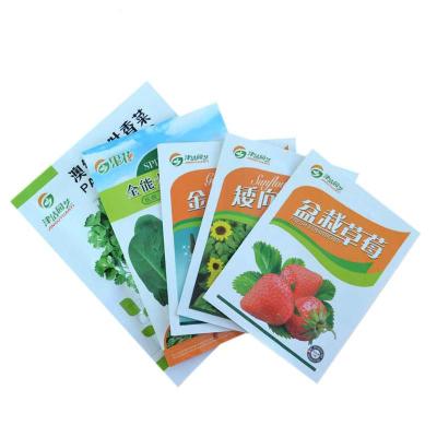 津沽园艺佳节好礼蔬菜花卉水果种子组合套餐草莓香菜菠菜金寸葫芦矮向日葵四季种植