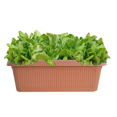 津沽园艺花盆容器大方形大花盆种菜种花花盆多规格可选阳台种植型号600熟褐色-