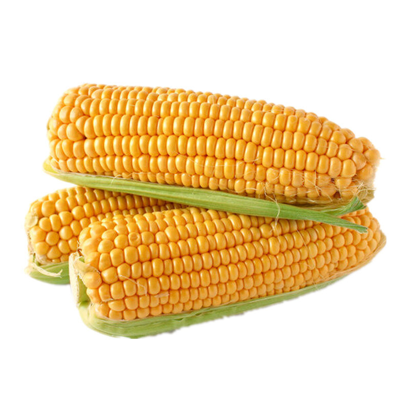 七果果 水果玉米 7斤 单重7-9两 新鲜蔬菜 as