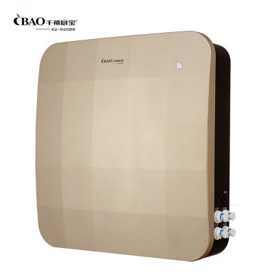 千禧厨宝(cbao) 厨下式 净水机 直饮 一体 净水器 土豪金色 br-305