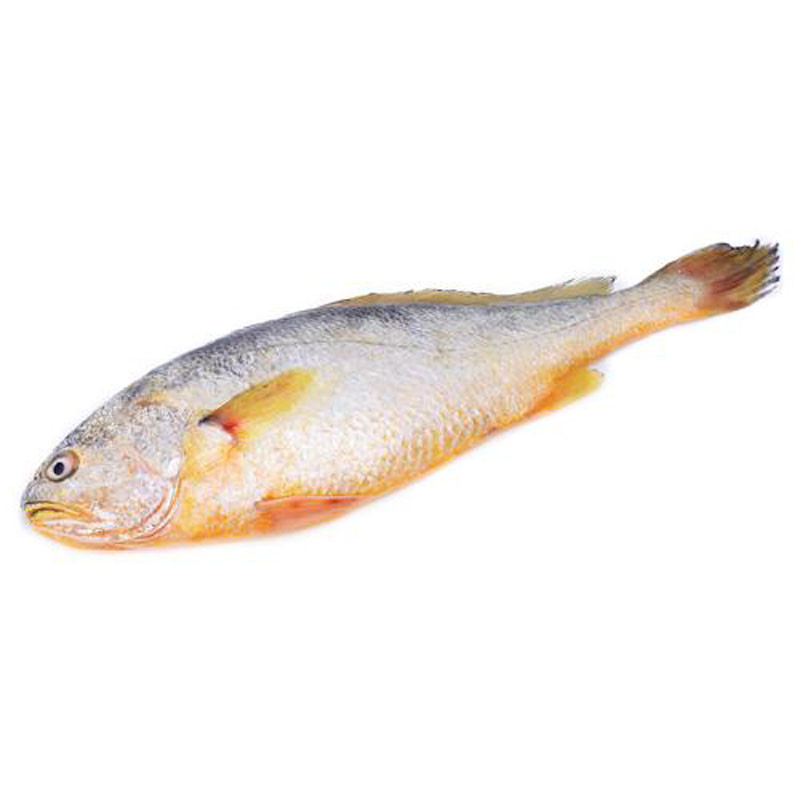 【中粮我买网】大洋世家黄鱼礼盒4*450g(4只装)1800g 盒装