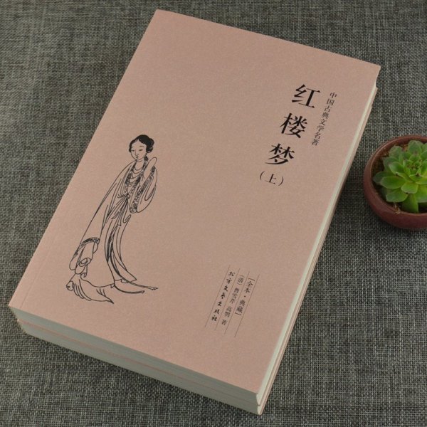 中國古典文學名著 紅樓夢書籍 上下冊 足本典藏無刪節 紅樓夢原著正版