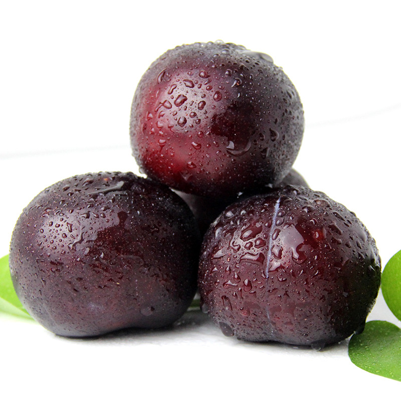 现摘现发陕西农家黑布林李子新鲜5斤