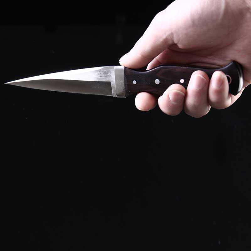 开刃直刀户外军刀高硬度小刀锋利刀具野外防身战术小直黑檀木柄小猎刀