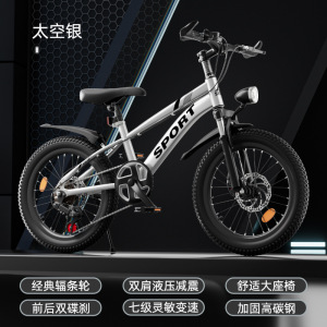 智童5188儿童自行车12寸14寸16寸脚踏车2 -9 岁山地车男女学生单车带辅助轮童车1