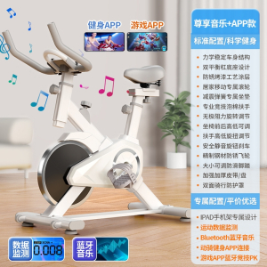 动感单车家用款小型智能室内健身健身房同款运动自行车