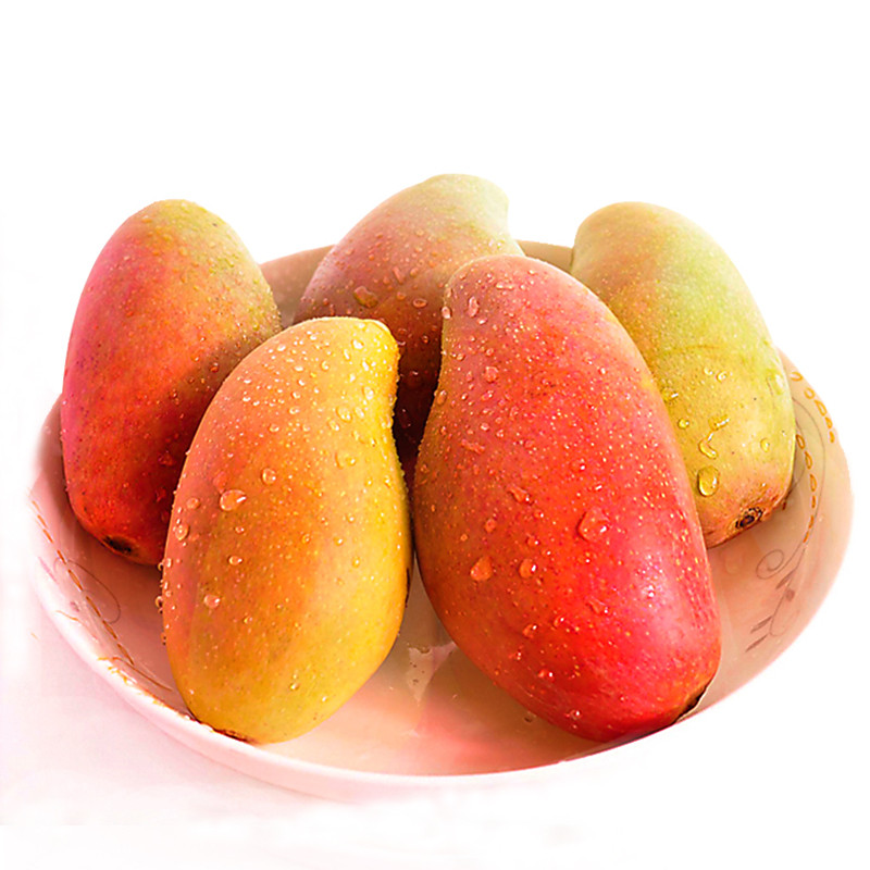 正宗广西百色新鲜 小贵妃芒果 自家果园8斤(单果50-150g)