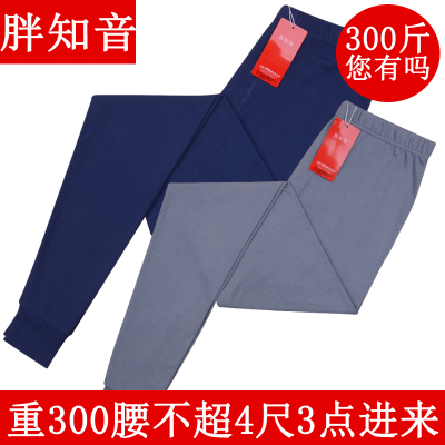 qma新款胖知音男士加肥加大码中老年精梳棉棉秋裤特大号内衣胖人线裤定制