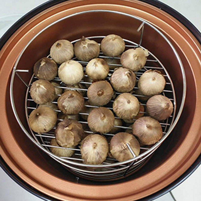 家用自制黑蒜发酵机全智能黑蒜锅煲自动发酵锅6l