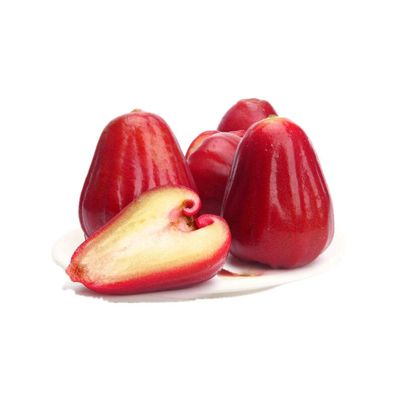 农聚源 黑金刚莲雾5斤 新鲜 产发qq 农聚源国产水果【价格 图片 品牌