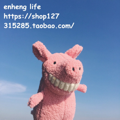 展翅飞翔大热可爱小猪微笑毛绒公仔陪睡动物玩偶创意生日礼物