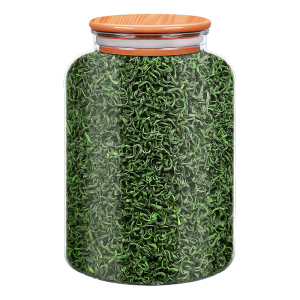 2025新茶日照高山绿茶云雾茶绿茶炒青茶毛尖茶浓香型茶叶散装500g