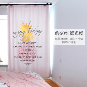 北欧风格ins窗帘布菠萝粉色少女心卧室网红公主风客厅成品半遮光