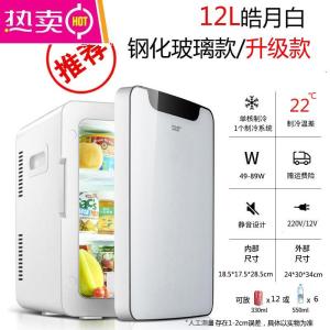 [补贴10%]车载迷你小冰箱mini宿舍出租房小型母乳单人用冷藏箱车家两用