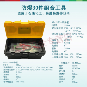 安防(ANFANG)防爆工具套装石油石化可用扳手活扳手成盒