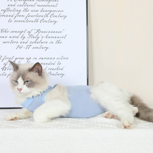可调节式米妮猫咪手术后舔服宠物猫绝育服透气小猫断奶服公母猫衣服