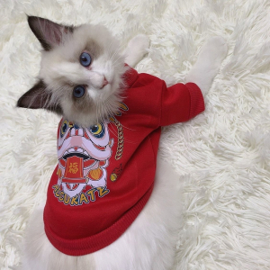猫咪衣服米妮秋冬新年装拜年衣服狗狗宠物衣服加绒蓝猫小猫