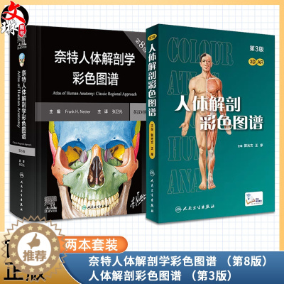 [醉染正版]新版2本套装 奈特人体解剖学彩色图谱第八版8版+人体解剖彩色学图谱 第3版 中英双语 基础临床医学奈特解刨学