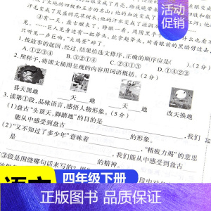 4下 语文试卷 小学通用 [正版]小学全套1-2-3-4-5-6年级RJ版一年级三四五六二年级上下册试卷测试卷语文同步专