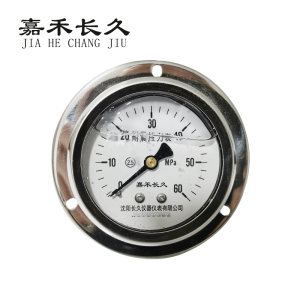 嘉禾长久/耐震压力表轴向带边/YN60ZT/个