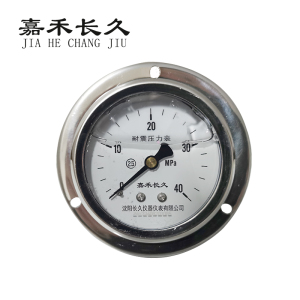 嘉禾长久/耐震压力表轴向带边/YN60ZT/个