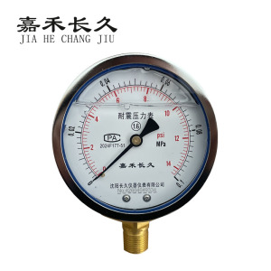 嘉禾长久 耐震压力表检测型 YTN100 块