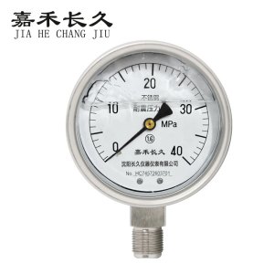 嘉禾长久 不锈钢耐震压力表检测定制型 YTN100BF 块