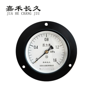 嘉禾长久 轴向带边压力表检测型 Y100ZT 块