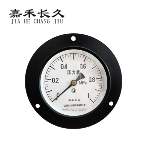 嘉禾长久 轴向带边压力表检测型 Y100ZT 块
